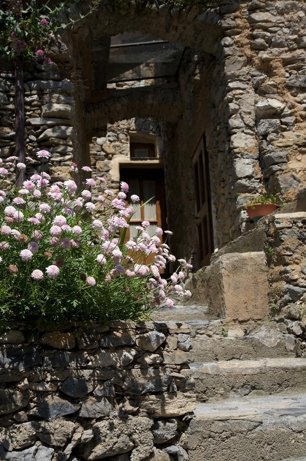 CollettaLa Casa Dei Nonni Castelbianco住宿加早餐旅馆 外观 照片