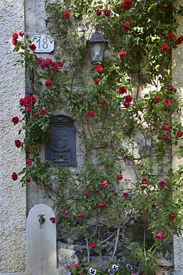 CollettaLa Casa Dei Nonni Castelbianco住宿加早餐旅馆 外观 照片